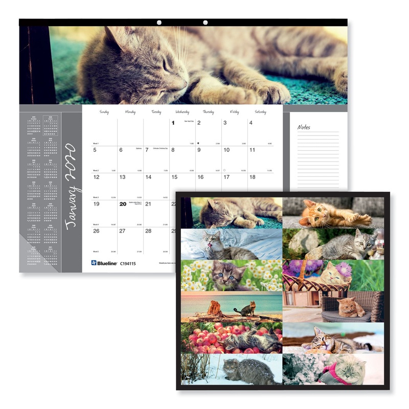 PETS COLLECTION MONTHLY DESK PAD, 22 X 17, FURRY KITTENS, 2020