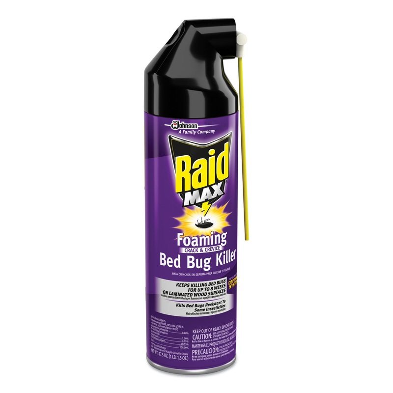 FOAMING CRACK AND CREVICE BED BUG KILLER, 17.5 OZ, AEROSOL