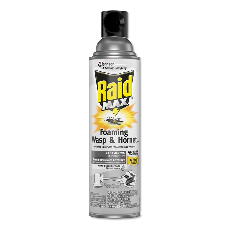 MAX FOAMING WASP AND HORNET KILLER, 13 OZ AEROSOL, 12/CARTON
