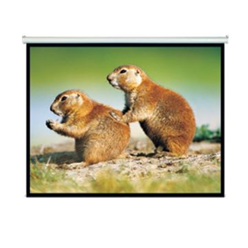 BRATECK 150” Projector Screen, Manual Self Locking, Matte Finish. 4:3 Aspect ratio